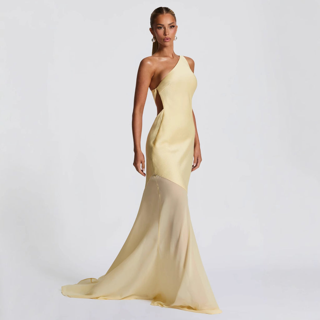 Tina Mesh Maxi Dress